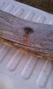 Gerfunken's first stick!